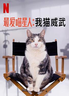 最爱喵星人：我猫威武<