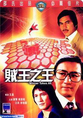 贼王之王1982<