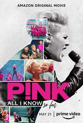 P!NK：我所知道的一切<