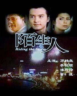 陌生人1999<