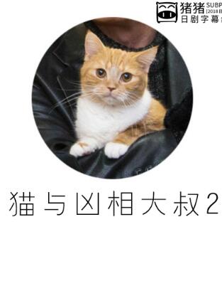 猫和凶相大叔2<