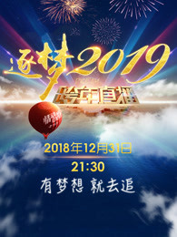 吉林卫视2019跨年晚会<