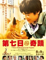 向日葵与幼犬的7天<