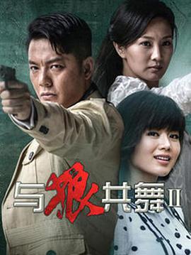 与狼共舞2DVD版